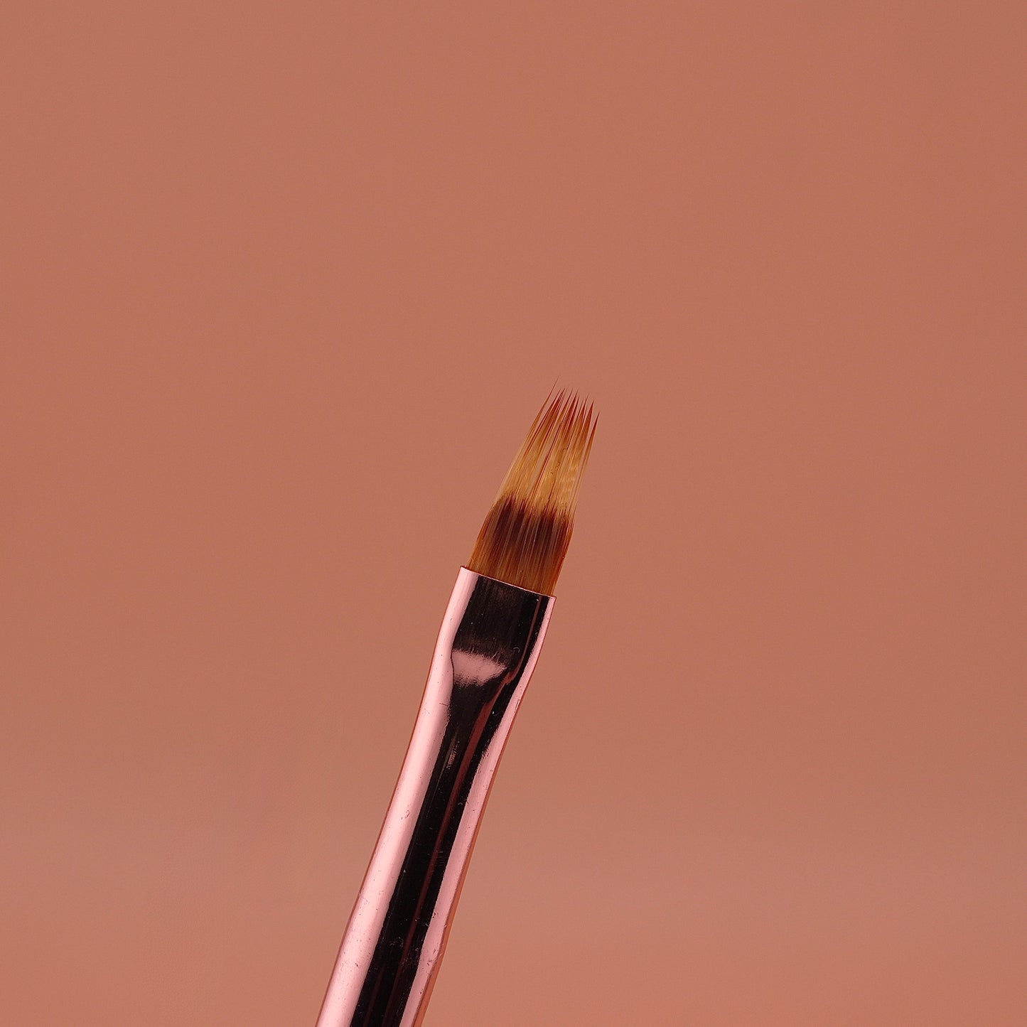 Cọ Ombre
