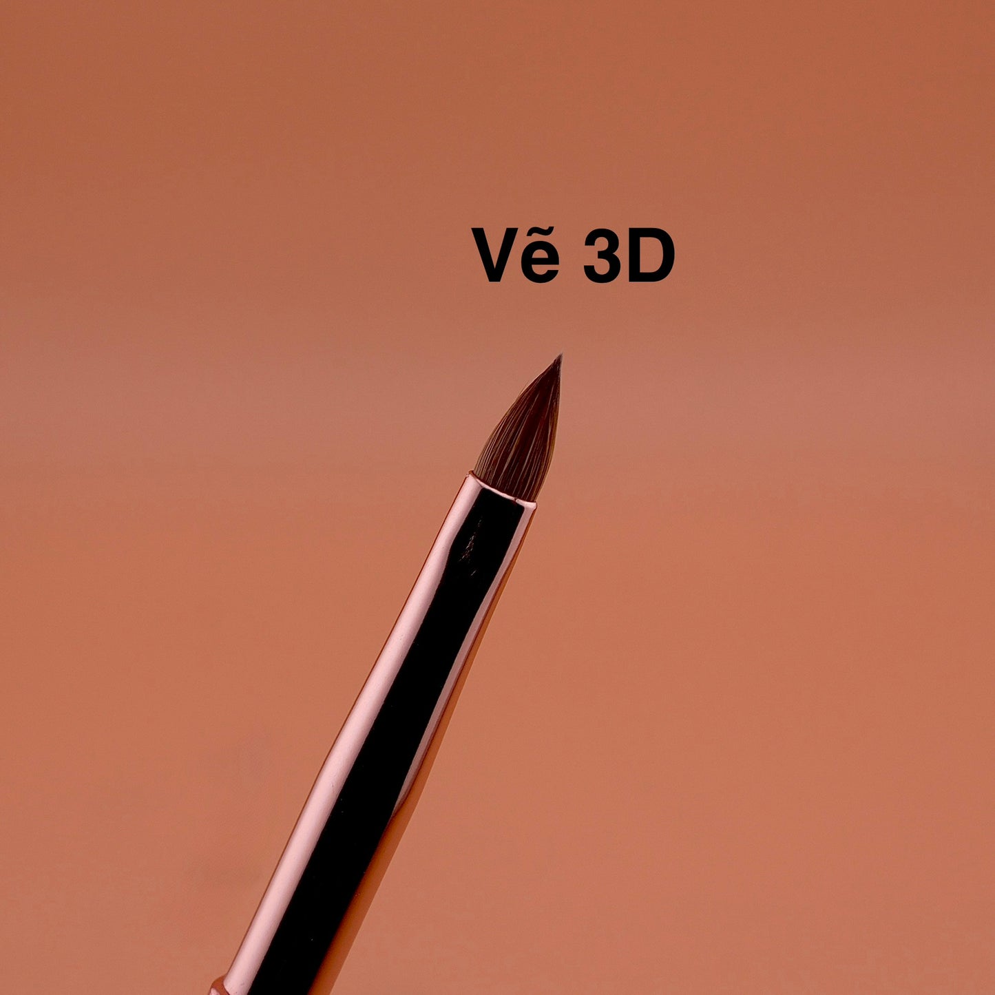 Cọ Nặn Bông 3D + Vẽ Bông Cúc