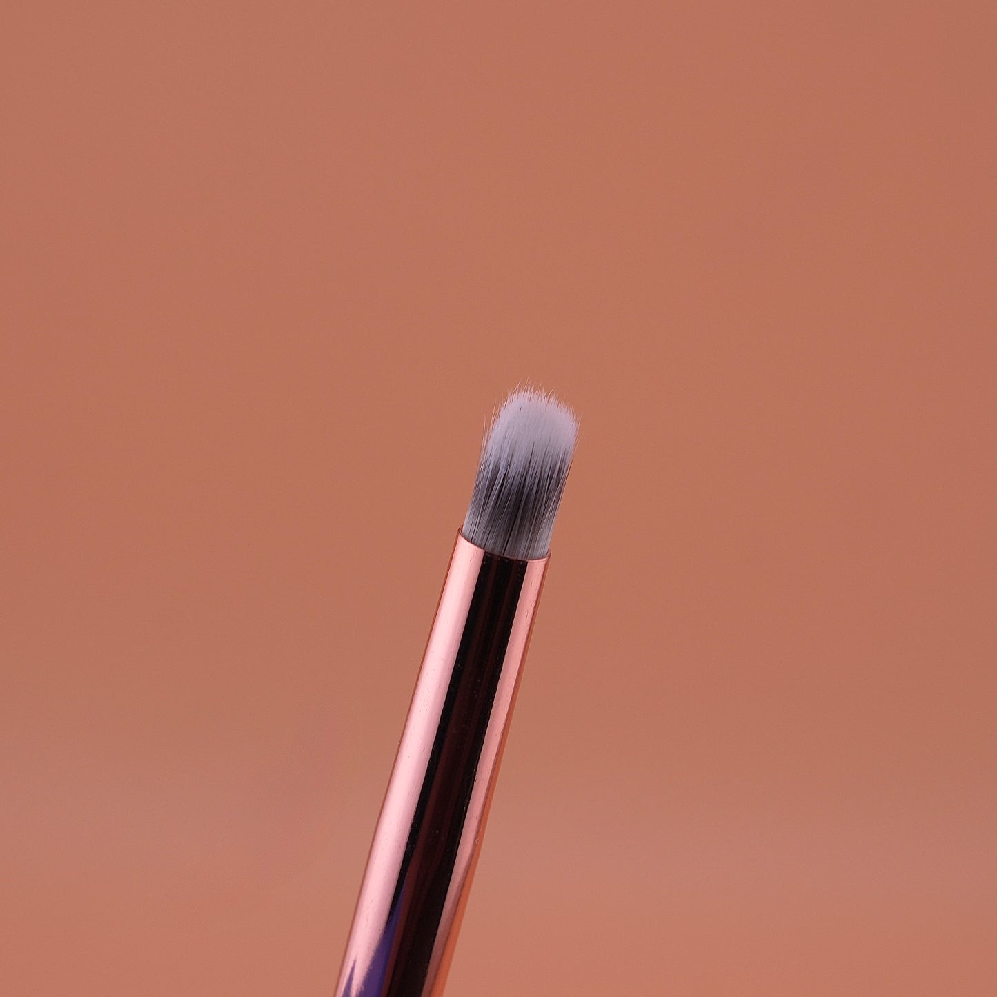 Cọ Ombre