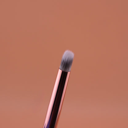 Cọ Ombre