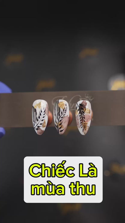 Bộ Màu Nước 48 màu (Limited)